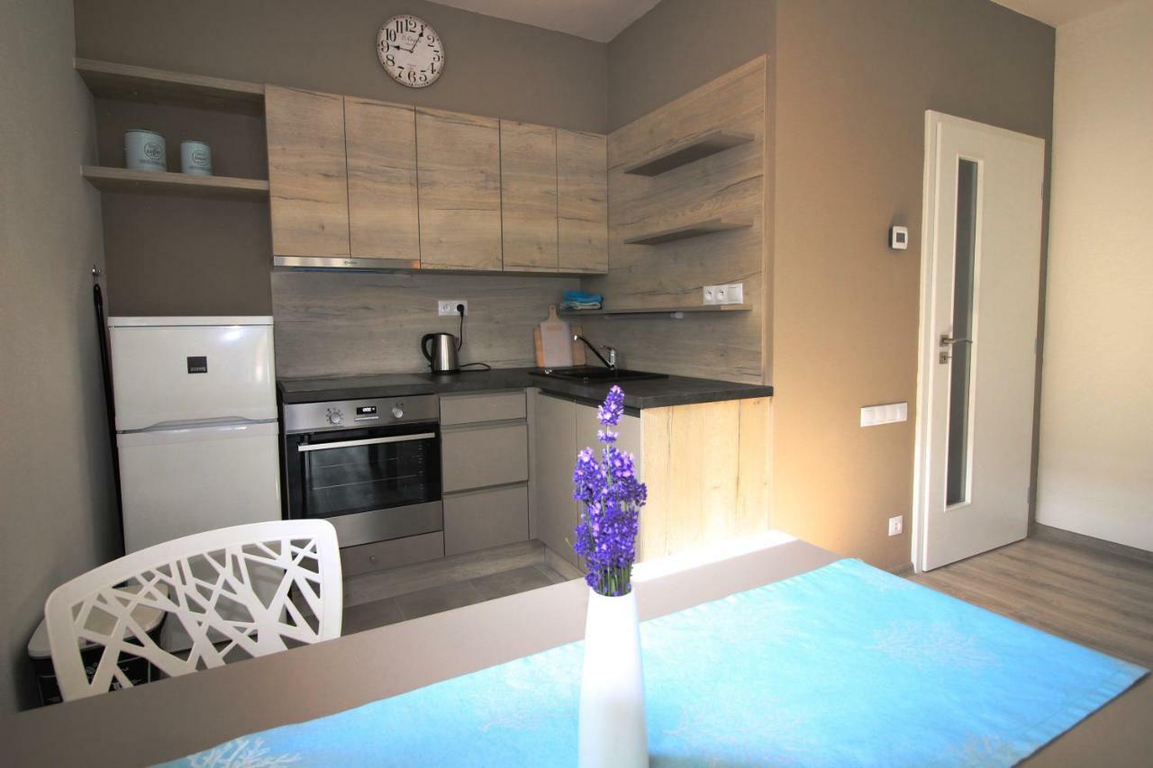 Апартаменты Apartman Lipno Korzo Липно-над-Влтавой Экстерьер фото